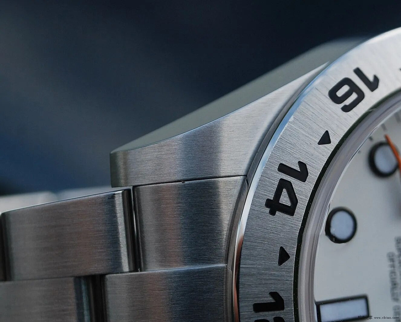 GMT POLAR | Automatic Watch - 42mm